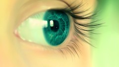 Eyes close-up blue eyes