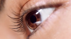 Eyes close-up brown eyes