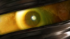 Eyes close-up yellow eyes