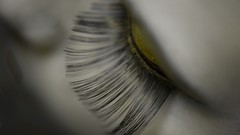 Eyes eyelashes fashion eye shadow