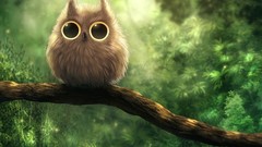 Eyes forests Owls realistic