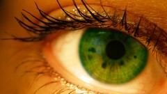Eyes Green woman pupil