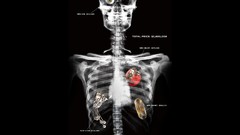 Eyes Hearts Bones skeletons digital art futuristic