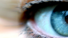 Eyes macro