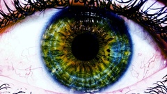 Eyes macro