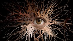 Eyes Photo manipulation