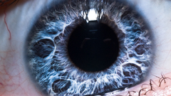 Eyes pupil macro