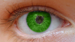 Eyes Tigers green eyes