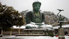 Eyes Trees sculptures artwork