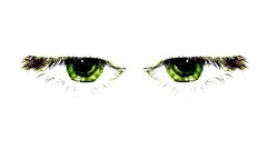 Eyes white background green eyes