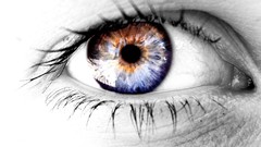 Eyes white multicolor
