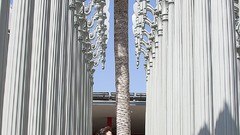 Eyes woman Actress legs brunettes Michele Boyd