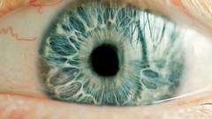 Eyes woman blondes brunettes teen