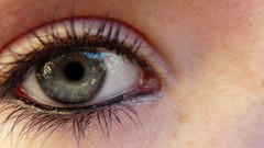 Eyes woman blue eyes green eyes