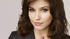 Eyes woman brunettes sophia bush