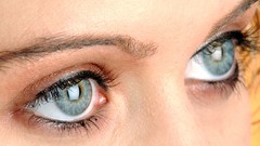 Eyes woman close-up blue eyes