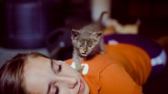 Eyes woman Kittens lips smiling brunettes