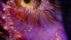 Eyes wonder high Resolution