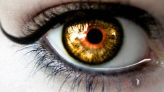 Eyes yellow orange gold