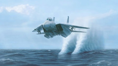 F-14 tomcat aircrafts