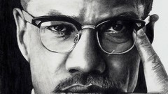 Faces illustrations artwork malcolm x