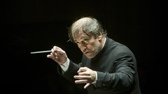 Faces orchestra classical music conducting Valery Gergiev 