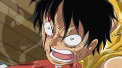Faces punch monkey d luffy screenshots One Piece (anime)