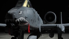 Fairchild Republic A-10 Thunderbolt II Aircraft us air force