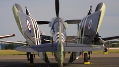 Fairey firefly aha You