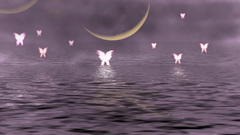 Fairies and moon Space