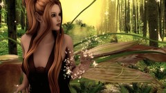 Fairies fantasy art