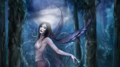 Fairies fantasy art fairy