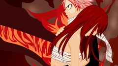Fairy tail Anime