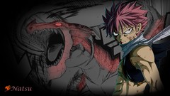 Fairy tail Dragneel Natsu