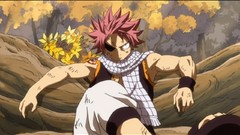 Fairy tail Dragneel Natsu