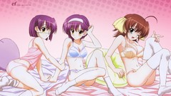 Fairy tale two anime girls bra miyamura miyako underwear 