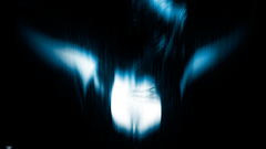 Faith Connors sea lions