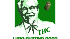 Fake pot kfc thc