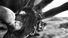 Fall Ali and media crumble projects