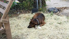 Fall babies aww shucks