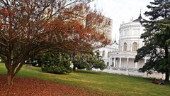 fall building Trees outdoors Plants