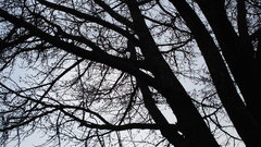 Fall can we photography