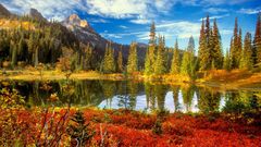 Fall Lake golden autumn