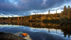 fall Lake leaves water forest clouds nature reflection