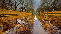 Fall photography autumn nature