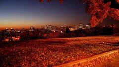 fall sunset cityscape fallen leaves leaves City Lights