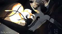 Fallen wings explosions horns bleach Espada anime boys 