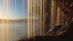 Falls national park Venezuela