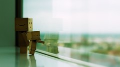 Family danboard window panes