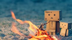 Family fire danboard